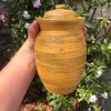 yellow brown jar