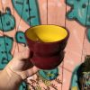 red yellow cup