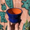 blue orange cup