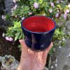 blue red cup