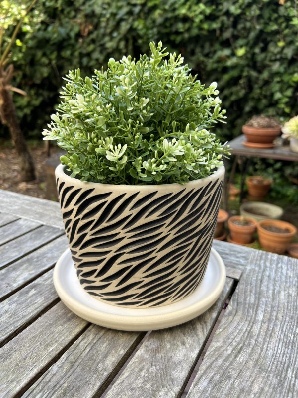 zebra planter