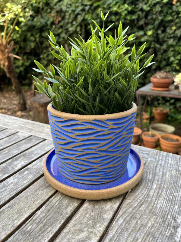 brown blue zebra planter