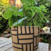 brown black planter