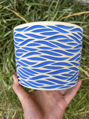 blue zebra planter