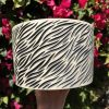zebra planter