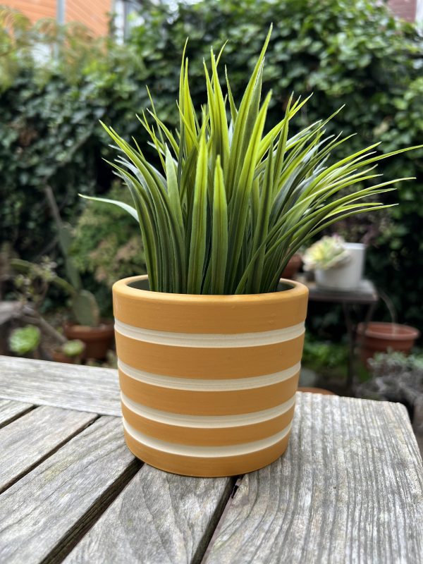 yellow stripe planter