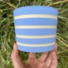 light blue stripe planter