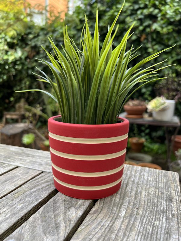 red stripe planter