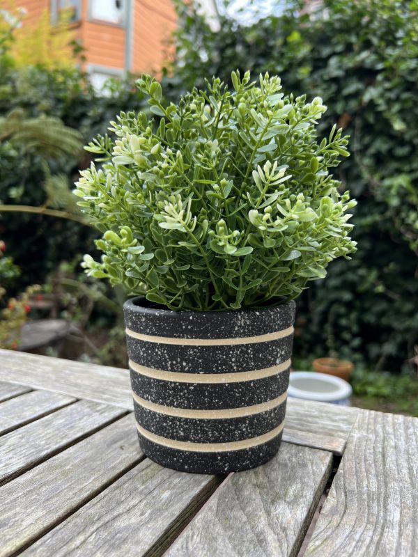 black splatter stripe planter