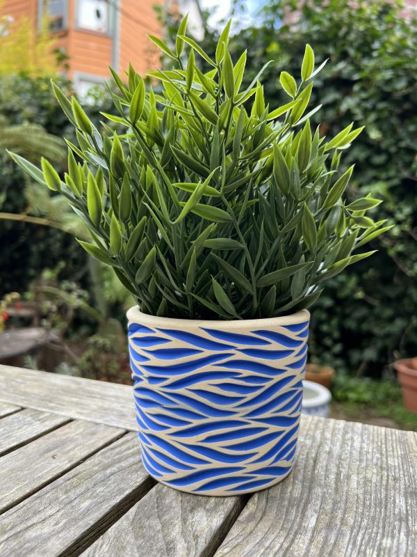 blue zebra planter