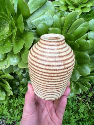 yellow bud vases