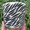 zebra speckle planter