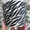 zebra speckle planter