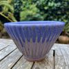 purple blue ramen bowl