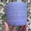 purple striped planter
