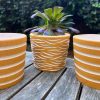 yellow speckle planters