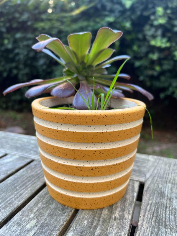 yellow speckle stripe planter