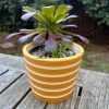 yellow speckle stripe planter