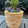 yellow speckle wave planter