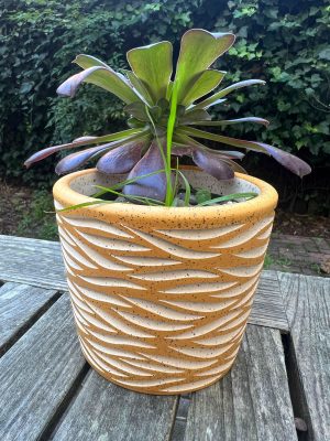 yellow speckle wave planter