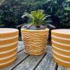 yellow speckle planters