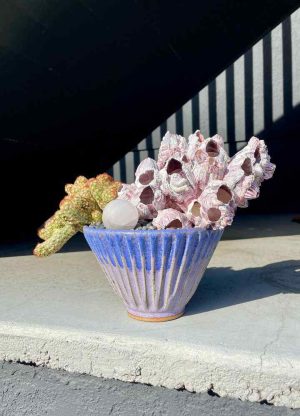 purple plant bowl