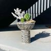 zebra pedestal plant bowl