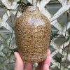 oatmeal speckle bud vase