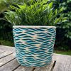 blue green speckle zebra planter