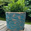 brown blue green zebra planter