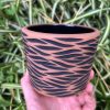 brown black zebra planter
