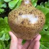 oatmeal speckle bud vase