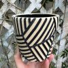 white black web planter