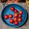wide blue serving bowl