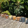 espresso mugs