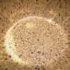 yellow speckle blate