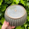 celadon blate
