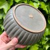 celadon blate