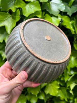 celadon blate