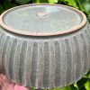 celadon blate