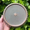 celadon blate