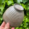shino side bowl