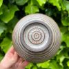 shino side bowl