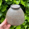 shino side bowl