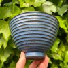 blue speckle side bowl