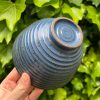 blue speckle side bowl