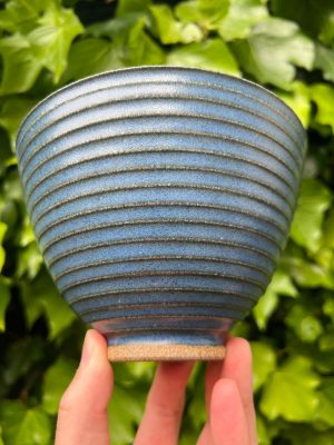 blue side bowl