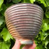 orange soda side bowl