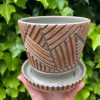 brown celadon patterned planter