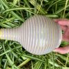 purple yellow bud vase